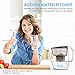Aozora Large 【BPA Free】 Healthy Ionizer with Activated Carbon 【NSF Certified】 Pitcher with Filter Clean Mineralized Alkaline Water in Minutes – 2019