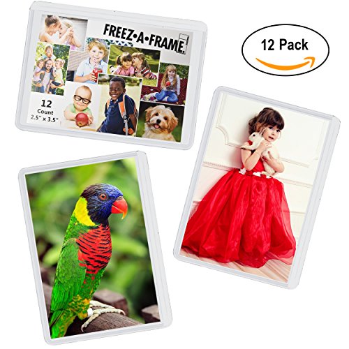 12 Pack Magnetic Wallet Picture Frames Holds 2 1/2" X 3 1/2" Pocket Photo for Refrigerator by Freez-A-Frame Made in the USA