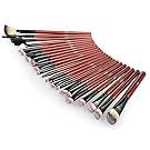 Anjou Makeup Brushes, 24 Pieces Professional Eye Makeup Cosmetics Brush Set, Eyeliner, Eye Shadow, Eye Brow, Foundation, Powder Liquid Cream Blending Brush, Premium Wooden Handles