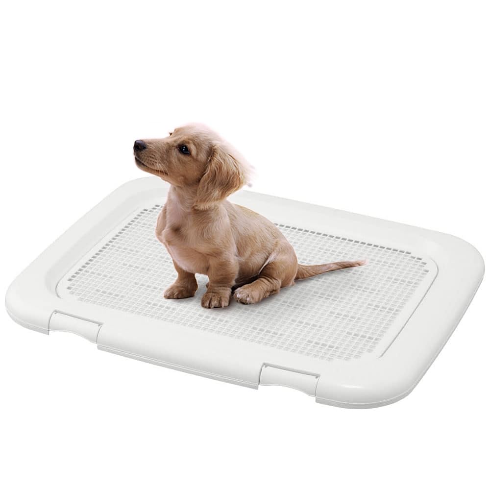 アイリスオーヤマ メッシュカバー付フチもれしにくいトレーニングペットトレー ワイドの商品画像