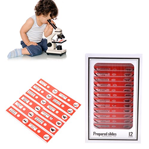Hukai 48 Pcs Prepared Microscope Slides Specimen Animals Insects Plants Flowers Sample