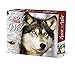 Spirit of the Wolf 2020 Box Calendar