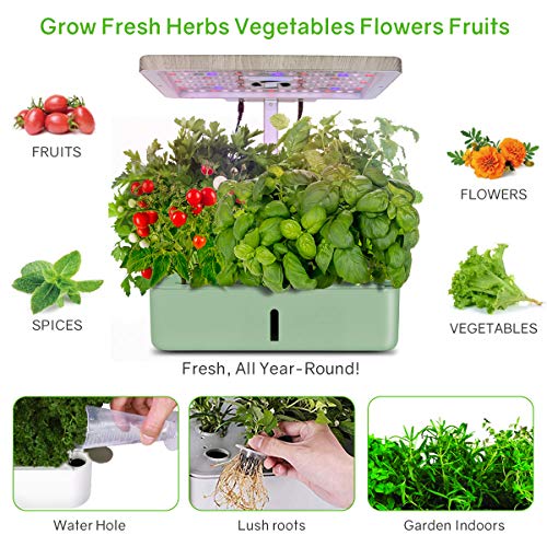 moistenland Indoor Hydroponic Garden, Hydroponics Growing System