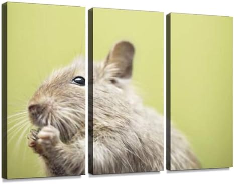 Amazon Co Jp デグー 動物 げっ歯類 デグーマウス デグーパイド ブルーパイド パイド 可愛い かわいい カワイイ ねずみ ネズミ 鼠 生物 フワフワ もこもこ モコモコ 元気 アンデス 一匹モダン アートボード 壁アート 壁掛け モダンアート 壁飾り木枠セット 壁芸術 新築