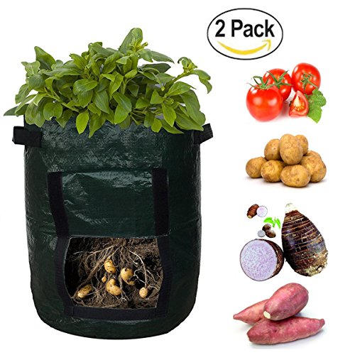 Outdoorfly Grow Bags 2-Pack 7 Gallon Potato Planter Grow Bags Indoor Grow Bags with Access Flap Raised Garden Bed for Planting Vegetables, Taro, Radish, Carrots, Onions(2PCS 7 Gal)