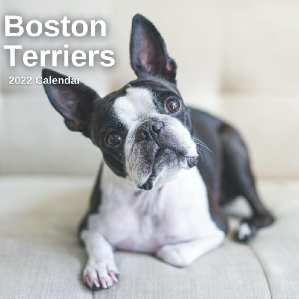 Boston Terrier Calendar 2022 Boston Terriers Calendar 2022 - 12 Months Of High-Resolution Dog Photos  Including Official Holiday Prompts - Us/Uk/Ca: Educators, The:  9798753808486: Amazon.com: Books