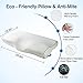 Amconsure Memory Foam Pillow, Orthopedic Sleeping Pillows, Ergonomic Cervical Pillow for Neck Pain - for Side Sleepers, Back and Stomach Sleepers, Free Washable Breathable Pillow Case Included