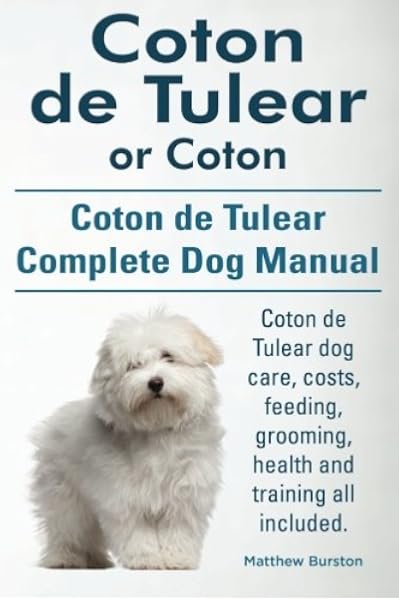 coton de tulear singapore