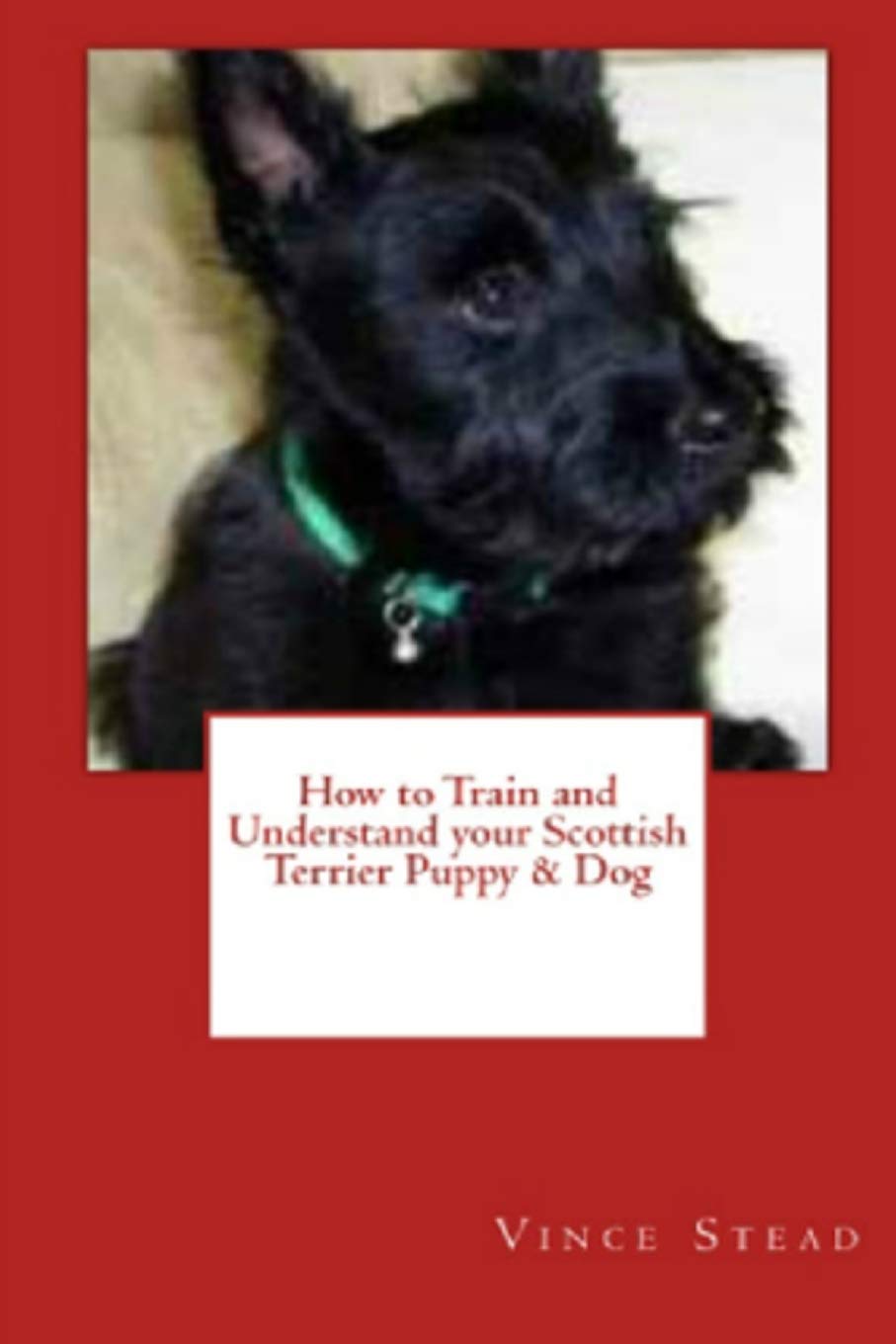how to train a terrier puppy