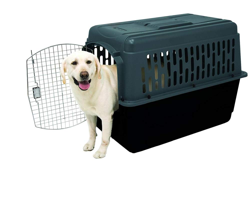 pet porter large