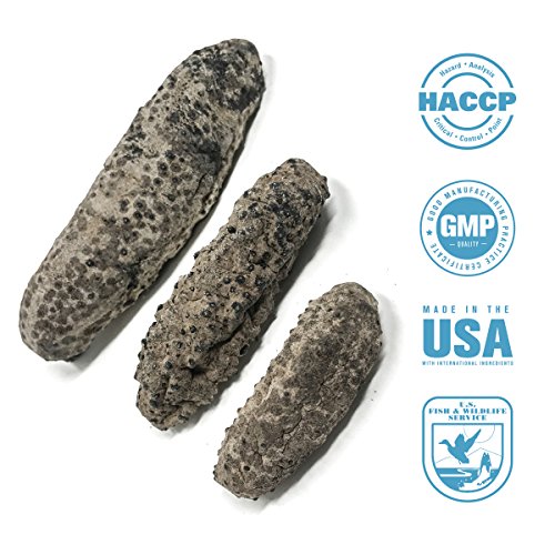 SB Organics Carribbean Badionotus Medium - Wild Caught Sea Cucumber Dried All Natural Nutritious - 8 oz. - Thumbnail 5