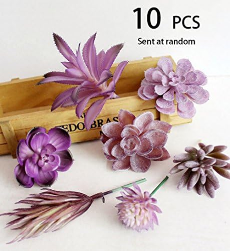 Conjugal Bliss 10PCS Realistic Fake Mix Of Mini Fleshy Plants Artificial Cactus Plants Shop Party Family Garden Wedding Diy Decoration Randomly Sent (Plastic) (PURPLE)