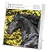 Horse 2015 Gallery Calendar
