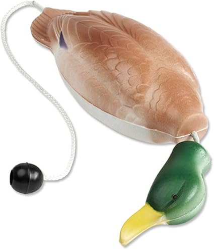 crate and barrel dog beds