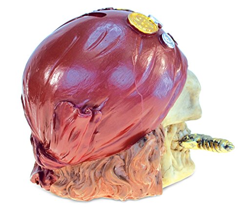 Money Bank Pirate Skull Handcrafted Table Top Resin - Pirates Theme Multicolor - Unique Elegant Gift and Souvenir by Mozlly