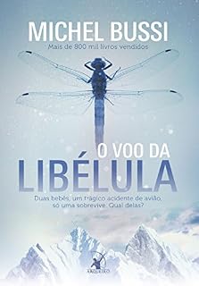 Livro O voo da libélula: Duas bebês, um trágico acidente de avião,  só uma sobrevive. Qual delas?