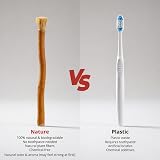SEWAK Miswak Sticks 10 Pack | Organic Wooden Toothbrush for Teeth Whitening view 4