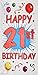 21st Birthday Door Cover Party Accessory (1 count) (1/Pkg)