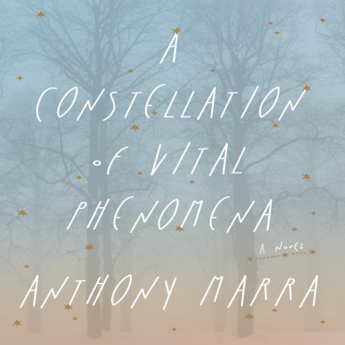 A Constellation of Vital Phenomena: A Novel A Constellation of Vital Phenomena: A Novel