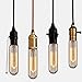 60W Edison Bulb,SerBion Incandescent Vintage Antique Light Bulb, T10 Tubular Filament Dimmable Bulb,E26/E27-110v- 370 Lumens,6-pack