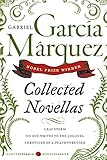 Collected Novellas (Perennial Classics) by