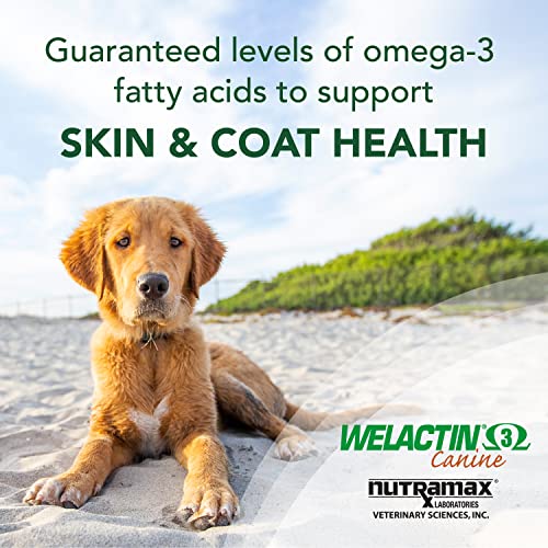 Nutramax Welactin Omega Fish Oil for Dogs, Skin and Coat Health