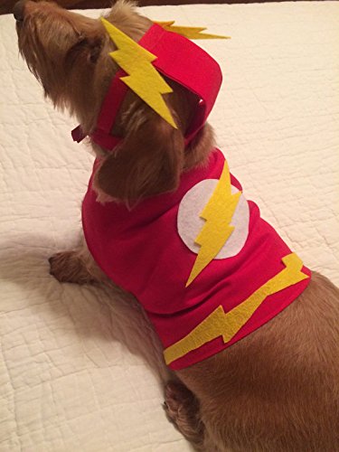 Small Dog The Flash Costume - Image 2