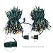 Brizled 200 LED Mini String Lights, 66ft Christmas String Lights Connectable, 120V UL Certified LED Christmas Lights Set for Indoor and Outdoor, Easter, Home, Garden, Lawn Decorations, Multi-Color