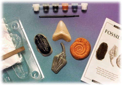 Eyewitness Kits PerfectCast Fossilworks Casting Kit