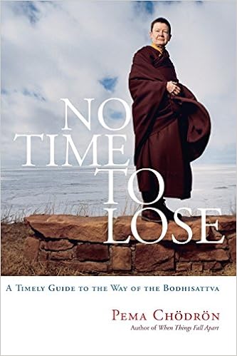 No Time to Lose: A Timely Guide to the Way of the Bodhisattva, by Pema Chodron