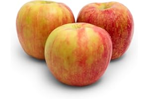PRODUCE (BRANDS MAY VARY) Organic Apple Honeycrisp, 48 Ounce Bag