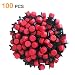 Korty 100pcs 360 Degree Adjustable Irrigation Drippers Sprinklers, 1/4 Inch Emitters Drip for Watering System primary