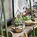NCYP Hanging Glass Geometric Terrarium for Succulent Air Plants Flower, (4.5x4.5x8.66 Inches) Handmade Diamond Shape Display Planter Pot, Wedding Home Garden Tabletop Decor (No Plants)