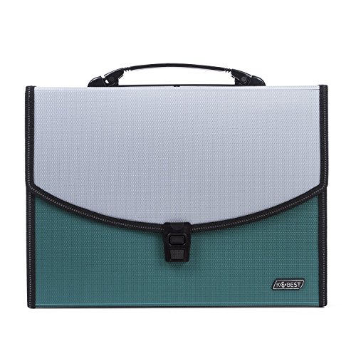 Expanding Files Expandable Portable HandHeld Accordion File Document