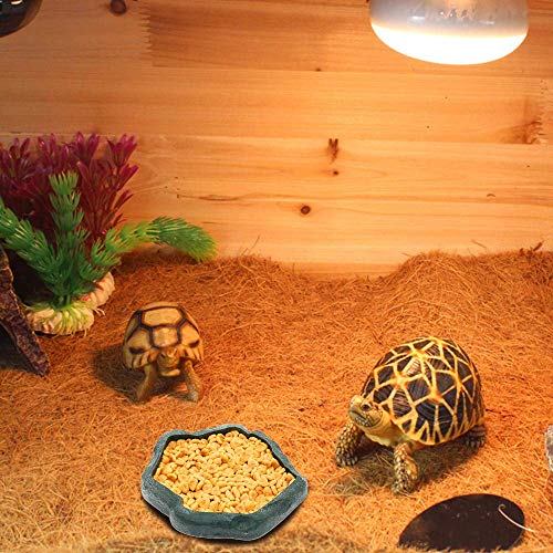1 SLSON+Reptile+Terraium+Plastic+Feeding