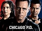 Chicago Pd, Season 2