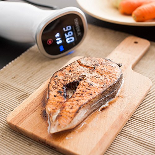 INNOKA Sous Vide Cooker Thermal Immersion Circulator w/Digital Disply LED Touch Screen, Accurate Temperature & Time Control, Quiet & Easy to Clean, Stainless Steel, 850 Watt for making Quality Food