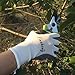 Finnhomy Professional Pruning Shears Sharp Garden Pruner Tree Clippers for Hedges, Shrubs, Gardening Scissors with Ergonomic Handles and Safety Lock