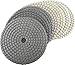DAMO Diamond Polishing Pads 4 inch Dry Set of 7 + Back Holder for Marble Granite Concrete Countertop Floor