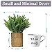 Artificial Plants Fern Fake Shrubs Bushe 11