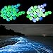 PROMENE 200pcs Glow in the Dark Garden Pebbles, Green and Blue for Walkway Yard and Decor DIY Decorative Gravel Stones (200PCS)
