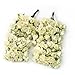 144 X Chic Mini Artificial Paper Rose Flower Wedding Card Decor Craft (Ivory)