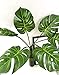 Artificial Monstera Leaves with Stem, Palm Leaves Artificial Tropical, Monstera Plant Leaf Decor Real Touch for Safari Jungle Hawaiian Luau Party Table Decoration, 6pcs, 24.5'