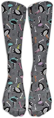 Cute Ostrich Bird Animal Knee High Socks Soccer Tube Socks Thigh High Socks For Women