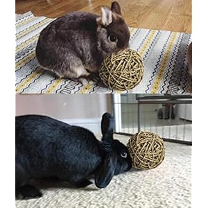 MadeTerra 2 Tappetini e 2 palline per animali domestici,conigli,criceti,porcellini d'India,cincillà e giocattoli da…