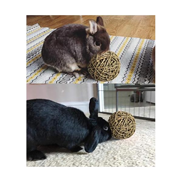 MadeTerra 2 Tappetini e 2 palline per animali domestici,conigli,criceti,porcellini d'India,cincillà e giocattoli da…