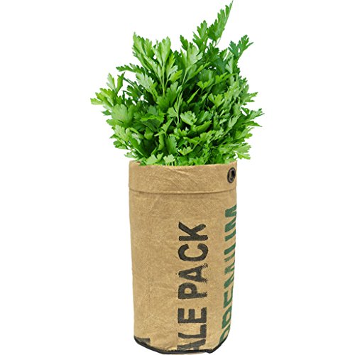Urban Agriculture Organic Herb Grow Kit - Parsley