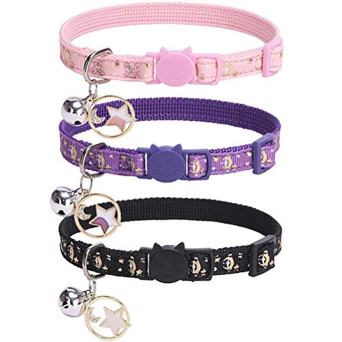 cheap kitten collars