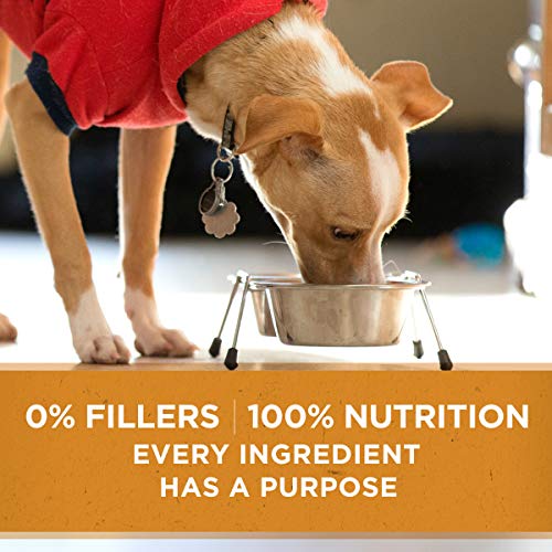Purina ONE Limited Ingredient, Natural Dry Dog Food, SmartBlend Limited