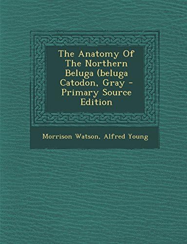 The Anatomy of the Northern Beluga (Beluga Catodon, Gray Paperback – Import, 8 Dec 2013